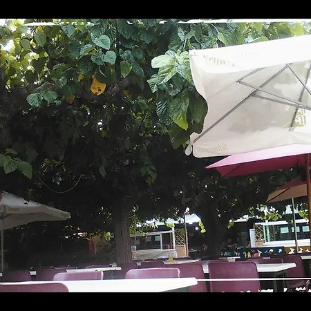 Camping Baix Camp Campsite 2*